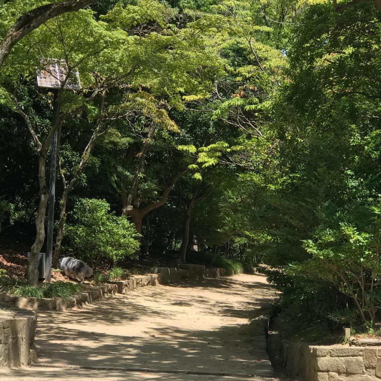 高松市Koi 鯉アパートメント エクステリア 写真